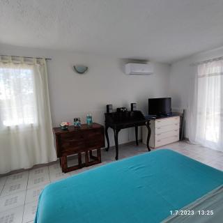 Villa Berio Cinque - Casetta - Villa Viani - 9