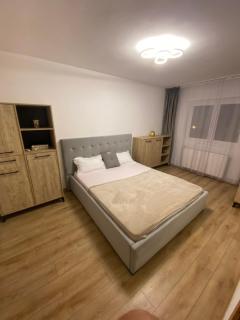 Aparthotel Brasov - Brasov - 8
