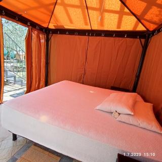 Villa Berio Cinque - Casetta - Villa Viani - 7