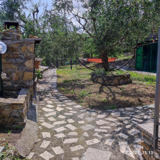 Villa Berio Cinque - Casetta - Villa Viani - 1