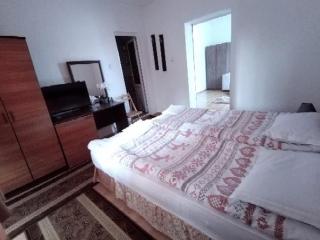Djolevi Guesthouse - Dobrinishte - 5