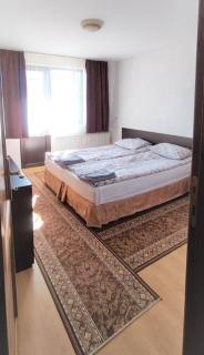 Djolevi Guesthouse - Dobrinishte - 4