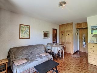 Studio cosy au pied des pistes, vue Mont Blanc - FR-1-560-55 - 2