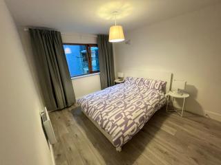 Secluded and spacious apartment - Dublin - 1