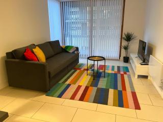 Secluded and spacious apartment - Dublin - 0
