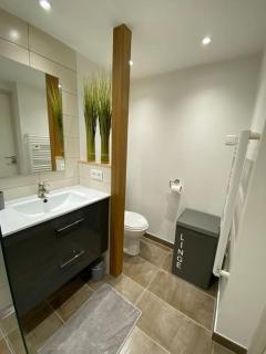 Duplex tout confort, 2 min de Colmar, parking gratuit - Horbourg - 4