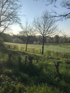 Vakantiewoning Hof7tien90 - 1