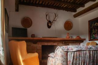 Cortijo San Rafael - Constantina - 6