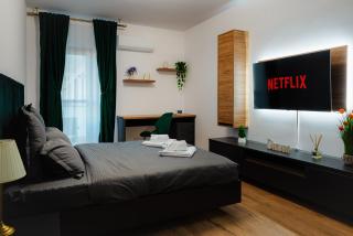 NEW Luxury City Center Studio - Bucharest - 9