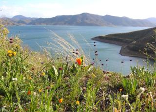The Blue Cove - Hemet - 9