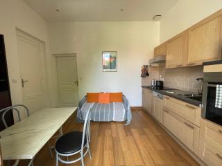 Appartement central avec terrasse et parking à Arcachon - FR-1-420-138 - Arcachon - 6