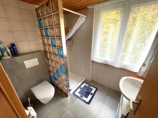 Bellevue Apartment - Ringgenberg - 7