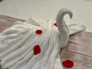 The Cove - Condo Hotel - Palm Beach Strip - Palm-Eagle Beach - 3