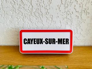 La crevette grise à Cayeux sur mer en baie de Somme - Cayeux-sur-Mer - 1