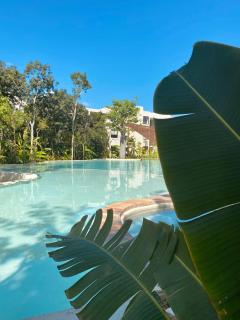 Luxurious Jungle Studio - 4