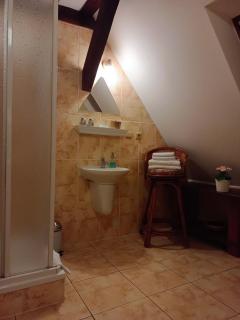 Guest House Olšakovský - 2
