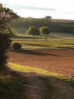 Le Relais de la Mandragore - - 3
