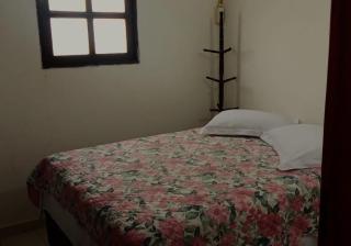 Mangue em flor - 7
