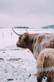 Hôtel & Spa Le Germain Charlevoix - 4