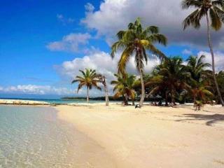 LA PLAYA - L'Appartement COZY - 2 à 5 personnes - Sainte-Anne - 5
