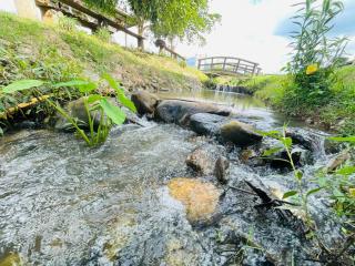 ทุ่งพาฝัน - - 7