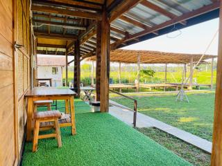 ทุ่งพาฝัน - - 3