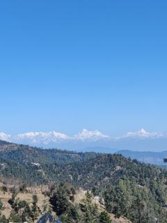 Casa Letibunga - Mukteshwar - 3
