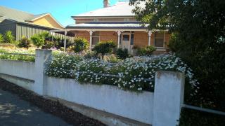Book Keepers Cottage - Waikerie - 0