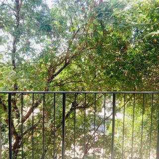 Lahabana by Condo Exchange Center - Hua Hin - 6