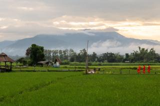 Sangthong Resort at Chiang Klang - Chiang Klang - 9