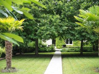 Le Haut Puits Amboise Tours piscine dans grand parc - Reugny - 8