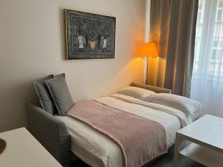 CITY CENTRUM CHARMING apartment - Praga - 8