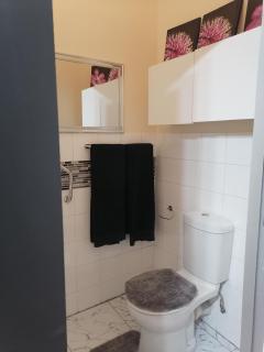 33 on Smuts Selborne - 5