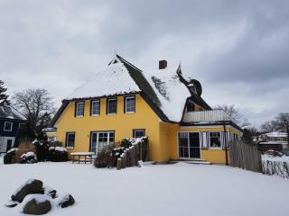 Buchfink - 1