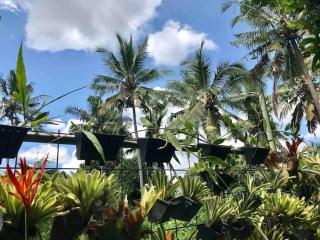 Rumah Taman - Ubud - 5