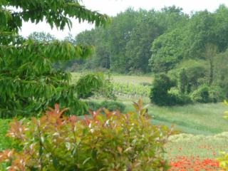 LES COTEAUX DE VIGNY - - 7