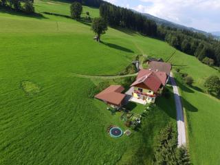 Waldherrhof - Aich - 6