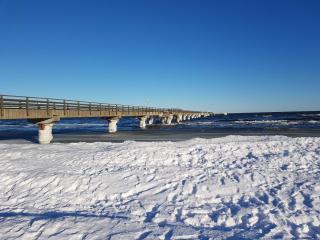Weststrand-Idylle - Prerow - 6