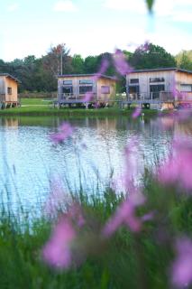 Écolodges du Golf du Sauternais - Saint-Loubert - 6