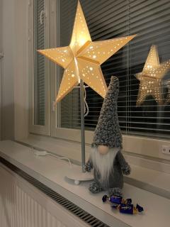 Wonderful arctic city apartment - 1