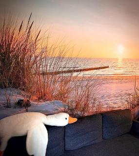 Nasza Przystań - Apartament Gąski - 6