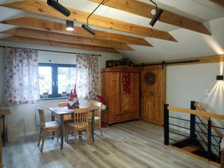 HORTUS apartament z klimatyzacją - Bolesławiec - 5