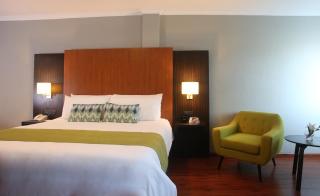 Aranjuez Hotel & Suites - David - 6