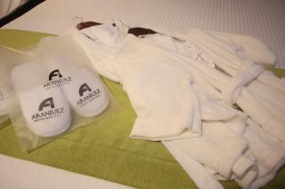 Aranjuez Hotel & Suites - David - 5