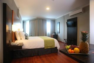 Aranjuez Hotel & Suites - David - 3