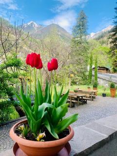 Tannerhof Bed & Breakfast - Caines - 8