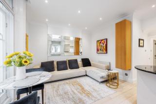 Beautiful One Bedroom Flat in Knightsbridge - Londra - 9
