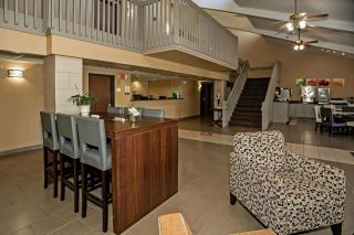 Quality Inn near Medical Center - Rochester - 6