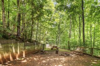 Serene Forest View- Hot Tub- Pet Friendly With Fenced Yard - 6