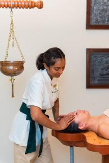 Royal Green Wellness Resort - Moka - 3